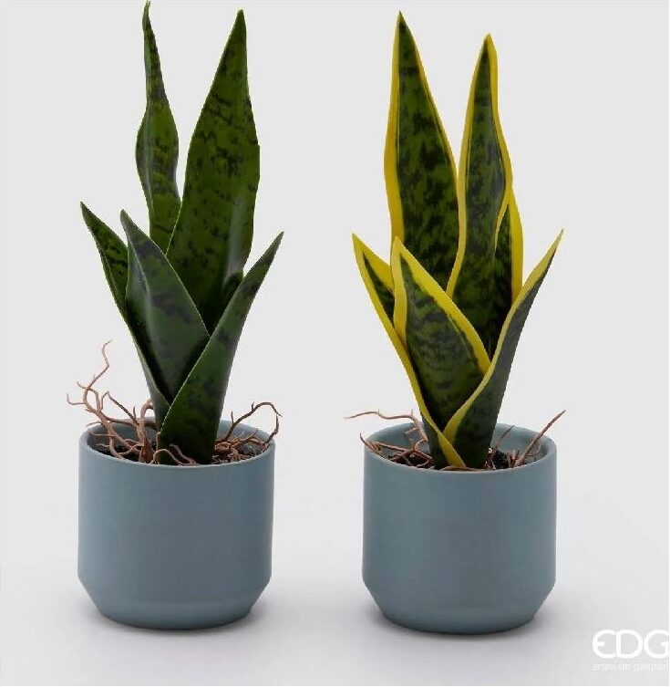 Planta artificial Sansevieria Azure